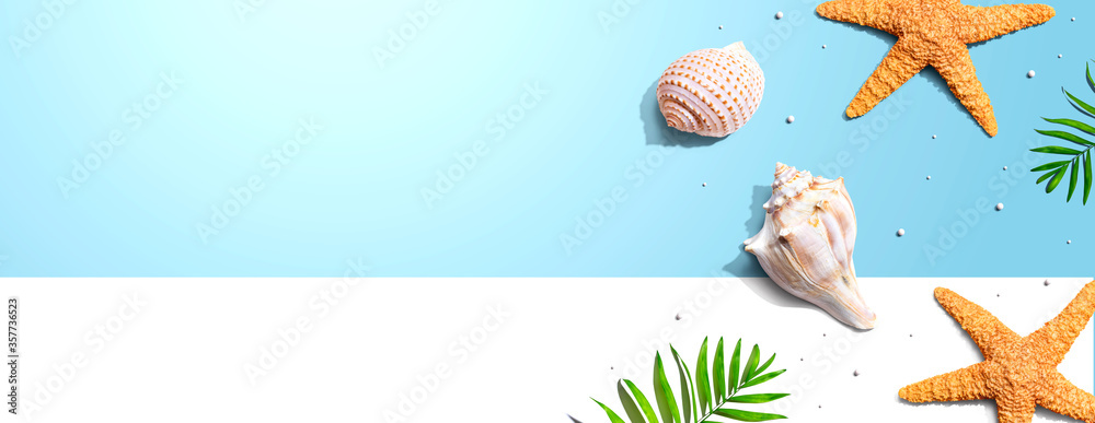 Summer concept with starfish and seashells overhead view - flat lay