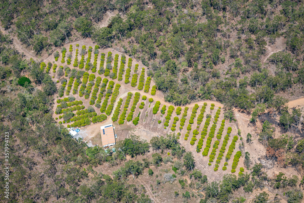  House on a mango plantation, Gladstone Region, Queensland