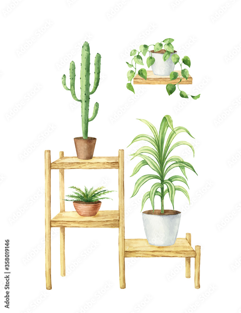 Watercolor vector interior of the house with home plants.