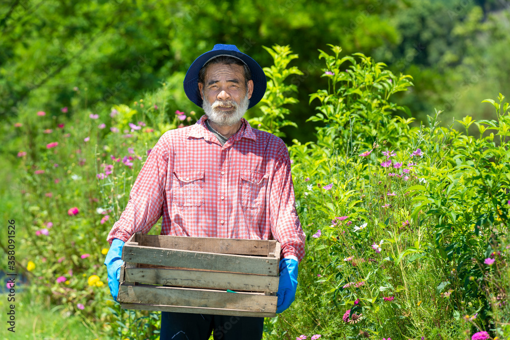 Active happy senior man working in the garden,Concept of a gardening on retirement.