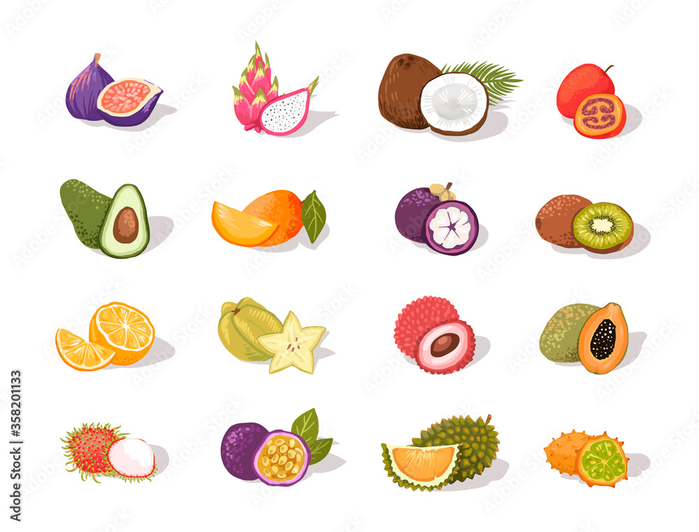 Different exotic tropic fruits and nuts vector set illustration