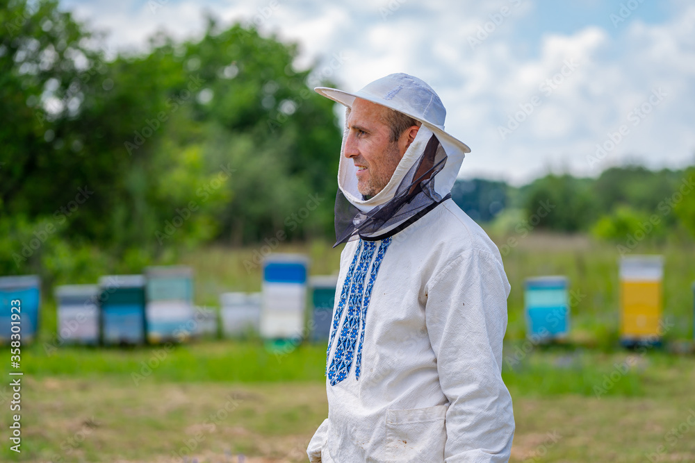 Man working in apiary. Protective clothes. Apiculture. Beekeeping concept.