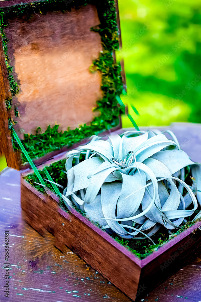 Wooden box with rings on a board