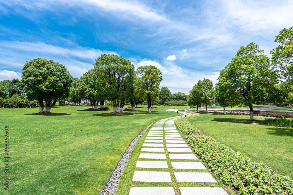 road in park