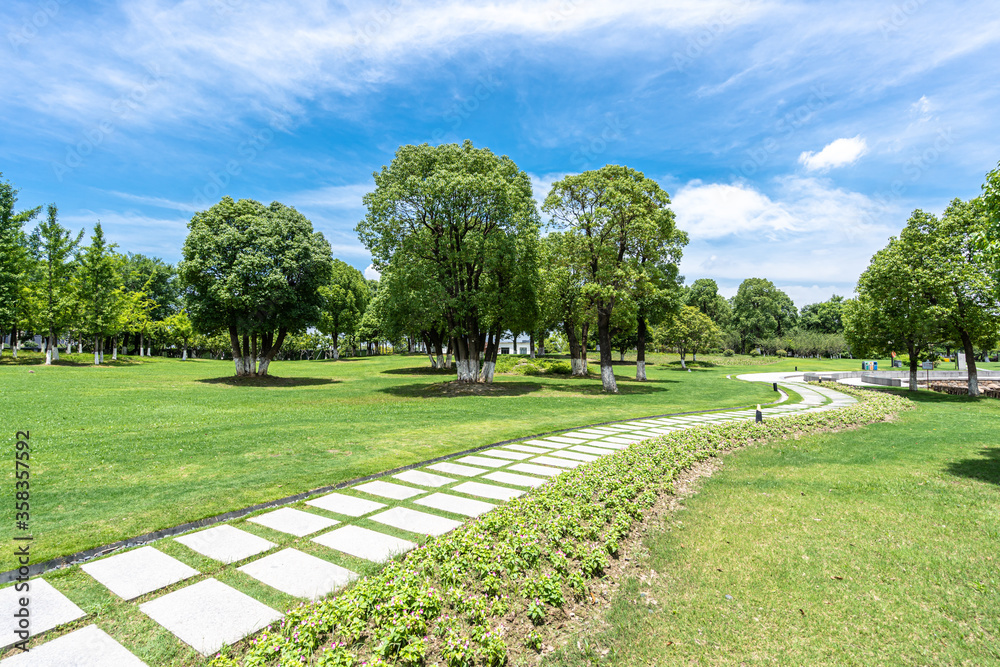 road in park