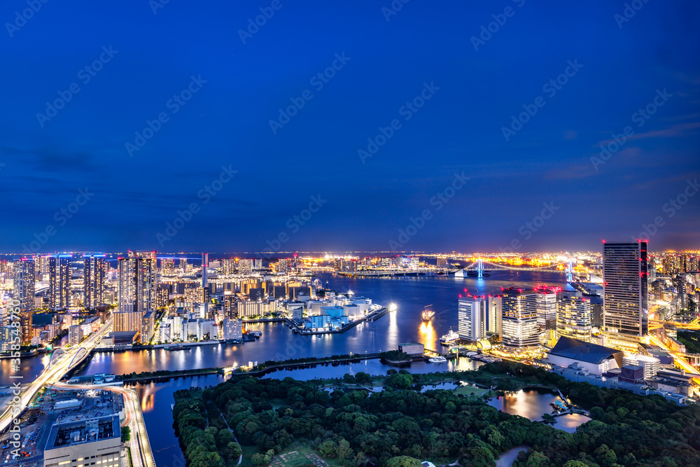 光が眩しい、東京の水辺に立ち並ぶ高層ビル群の夜景