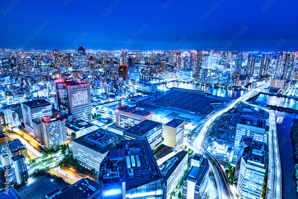 光が眩しい、東京の水辺に立ち並ぶ高層ビル群の夜景