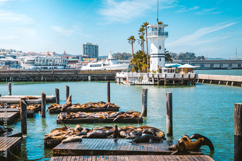 San Francisco Fishermans Wharf with Pier 39 with sea lions, California, USA