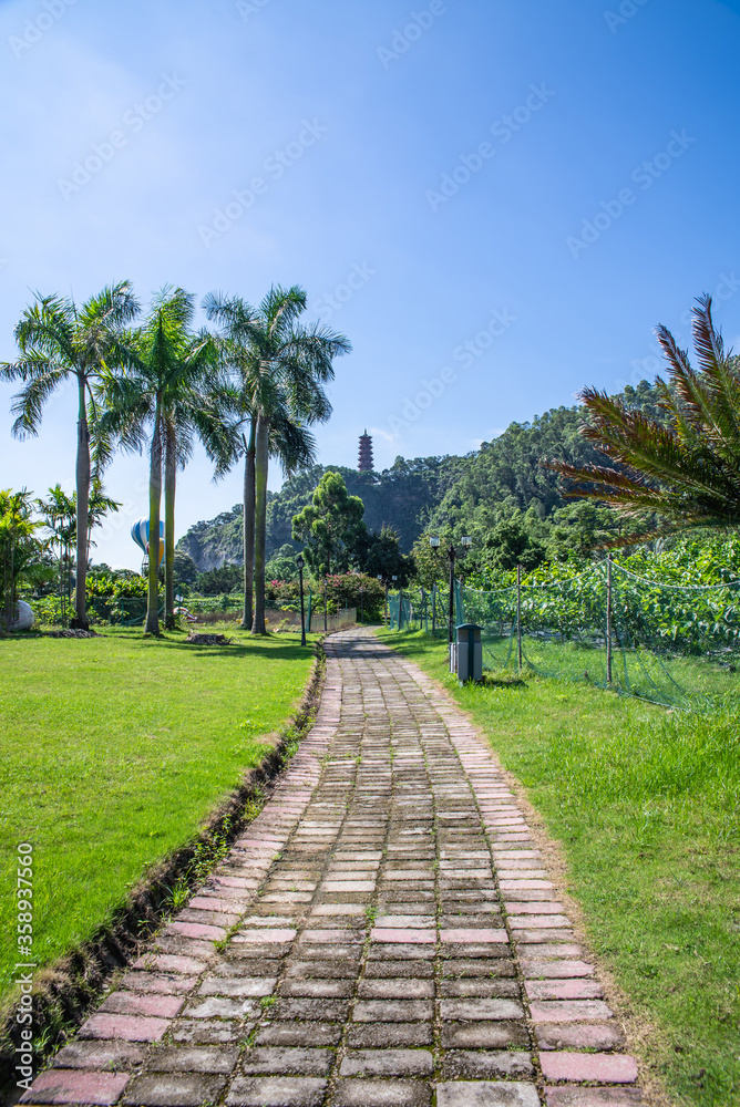 中国广州市南沙区蒲州花园夏日风光