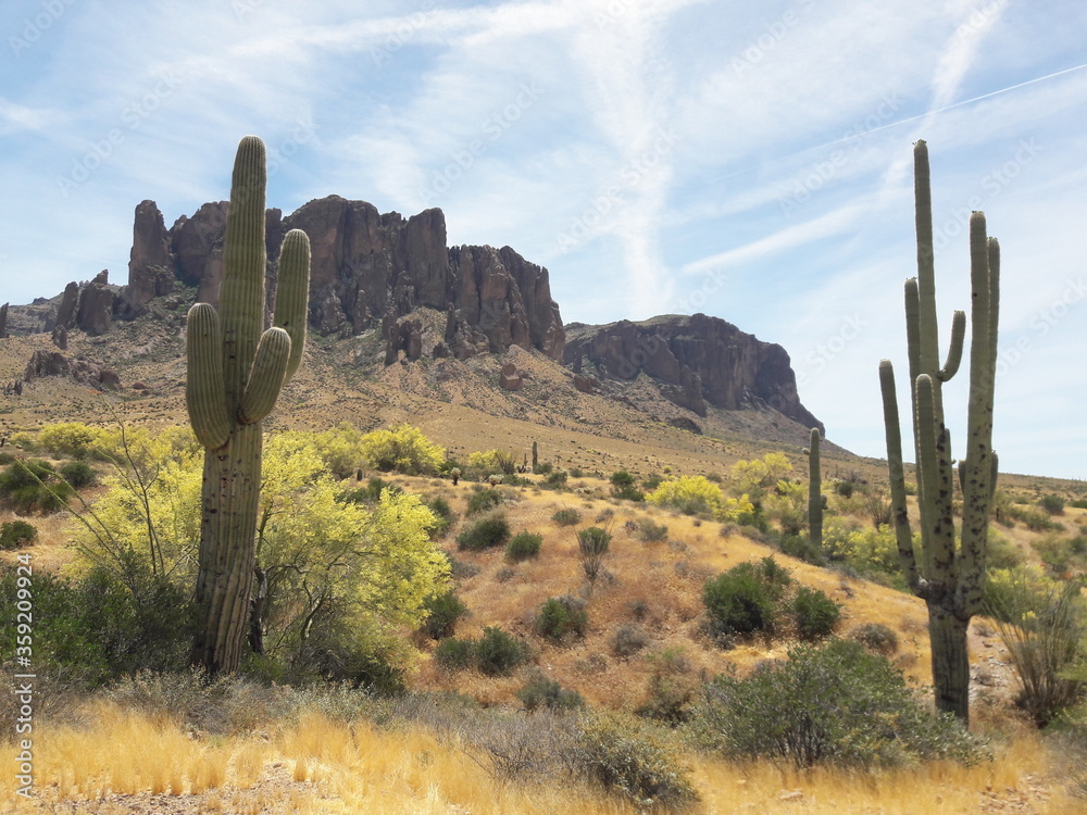 Arizona desert hiking landscape 2019