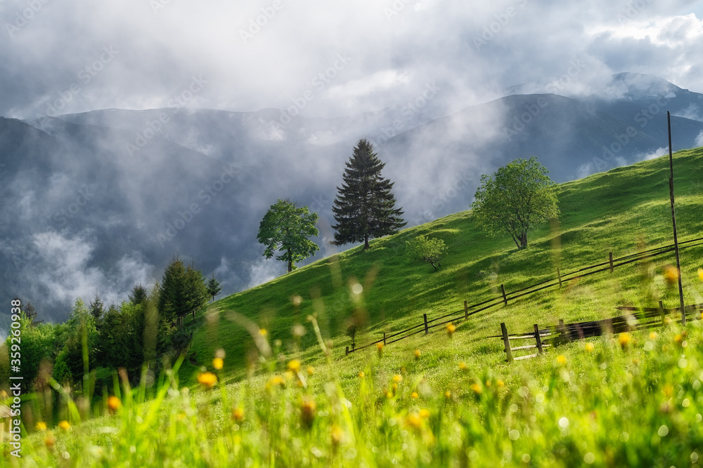 Foggy mountains and field with trees. Landscape after rain. A view for the background. Nature - imag