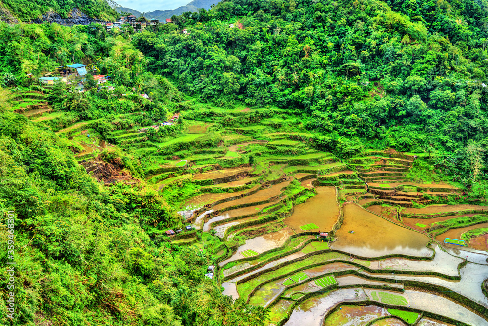 Bangaan Rice Terraces-菲律宾吕宋岛