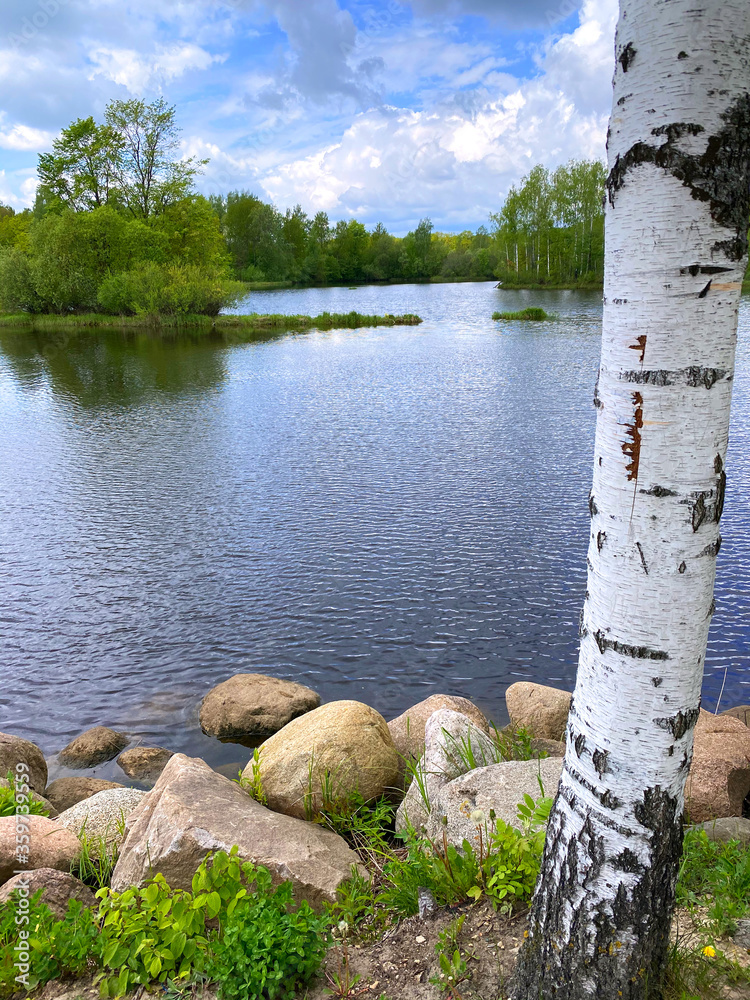 beautiful summer landscape