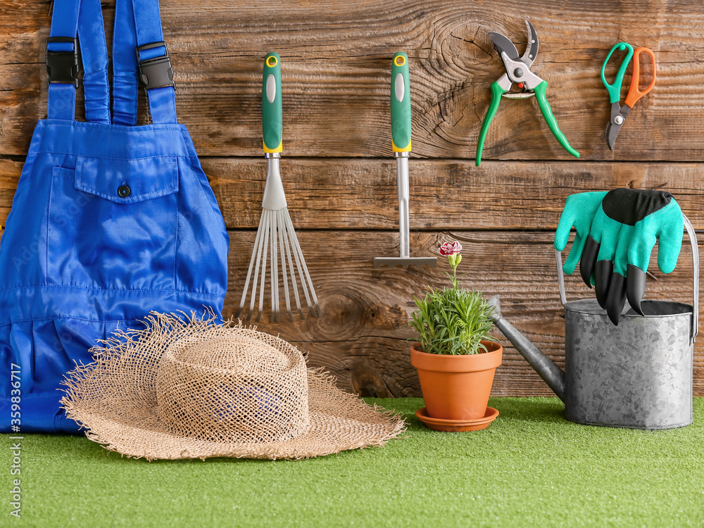 Composition with supplies for gardening and plant