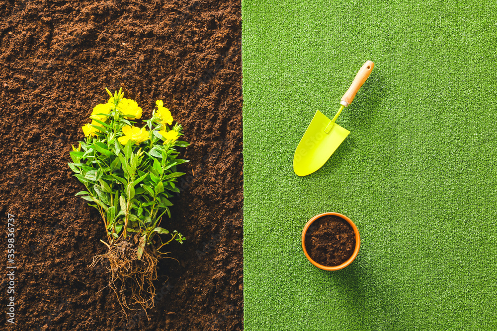 Shovel for gardening with plant, pot and soil, top view