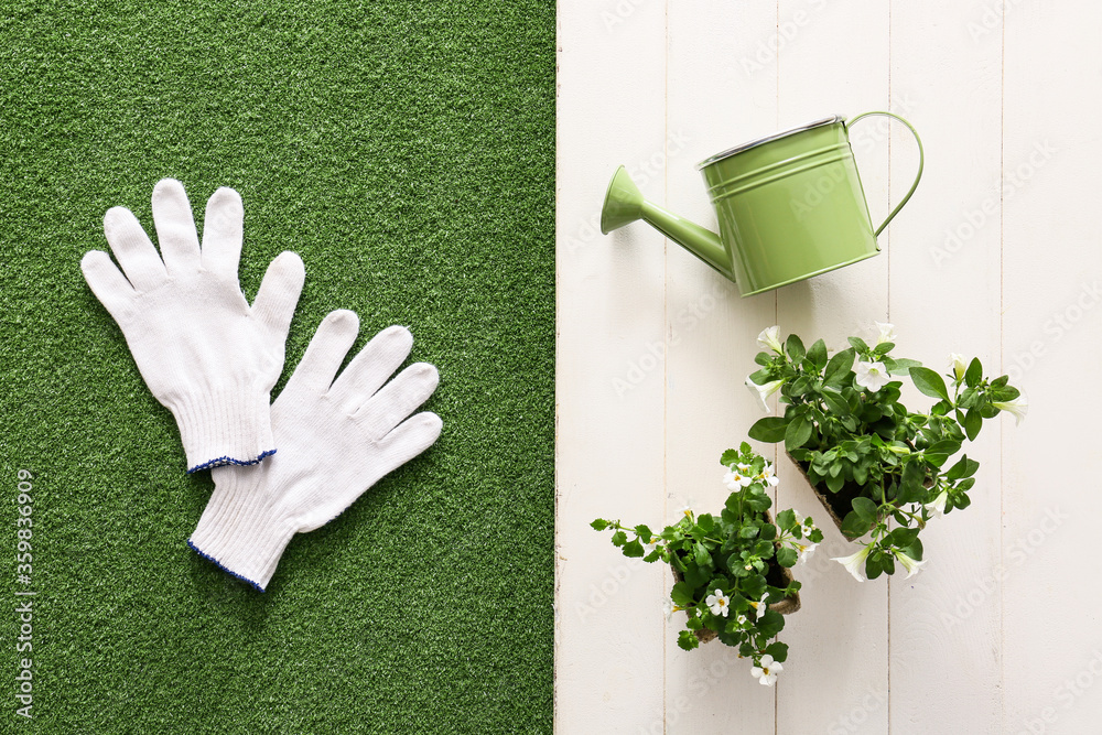 Supplies for gardening and plants on color background