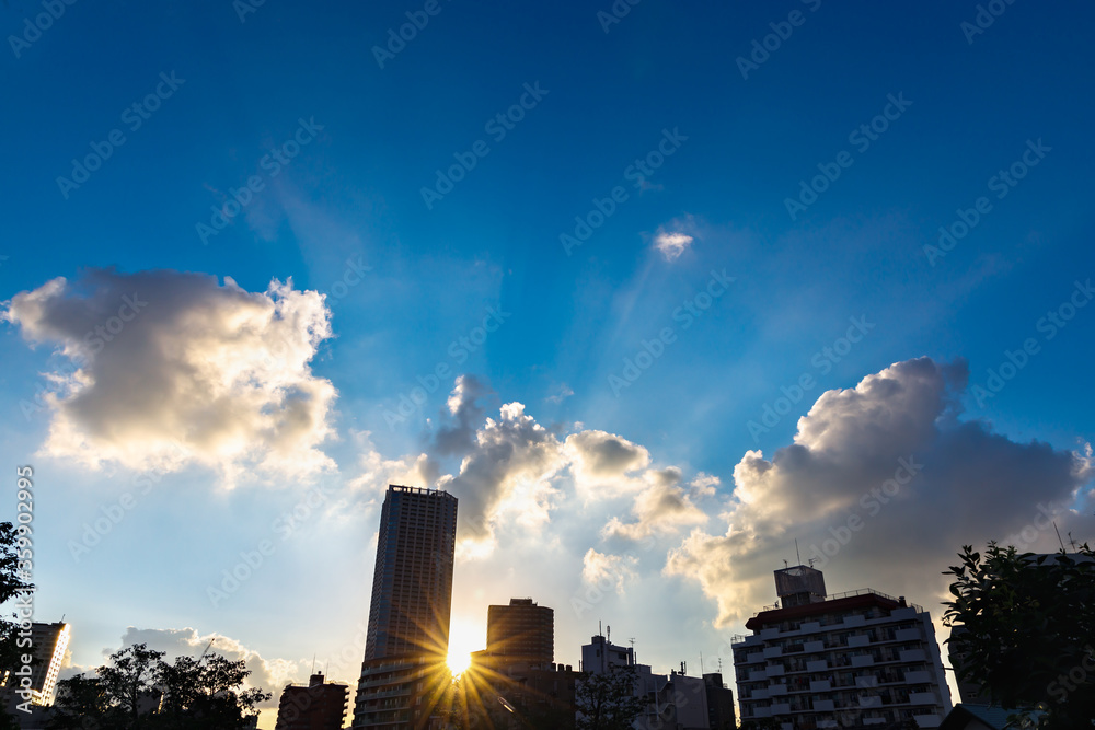 太陽の光が綺麗な,夕暮れの都会の空とビル