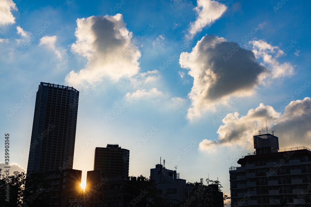 太陽の光が綺麗な,夕暮れの都会の空とビル