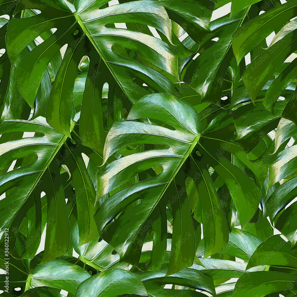 Monstera Deliciosa叶子无缝图案。热带背景，丛林植物。绿色异国肉饼