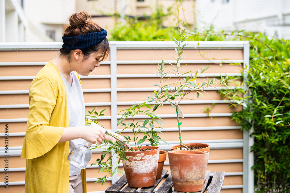 観葉植物の水やりをする女性