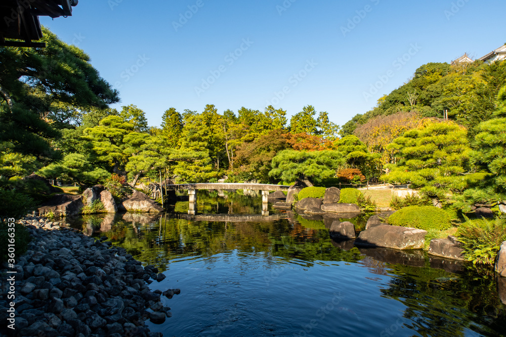 Koko en传统的日本花园，有一个池塘，反映了姬路的树木和五颜六色的秋树