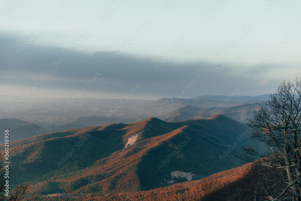 Mountain at sunset with orange trees