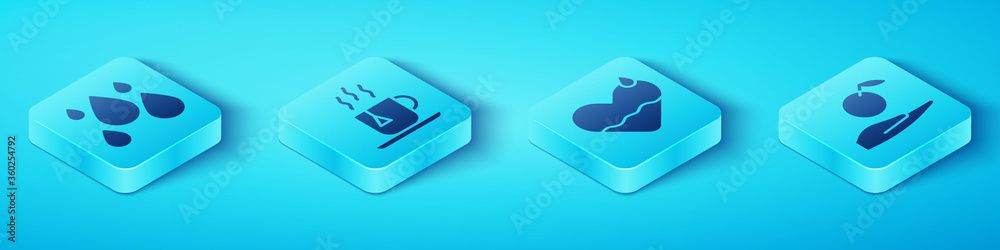 Set Isometric Water drop，Cup of tea with tea bag，Apple in hand and Heart health icon.Vector（设置等距水滴，一