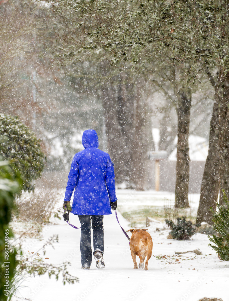 A woman is walking her dog in a snow storm on a sidewalk in Salem, Oregon.