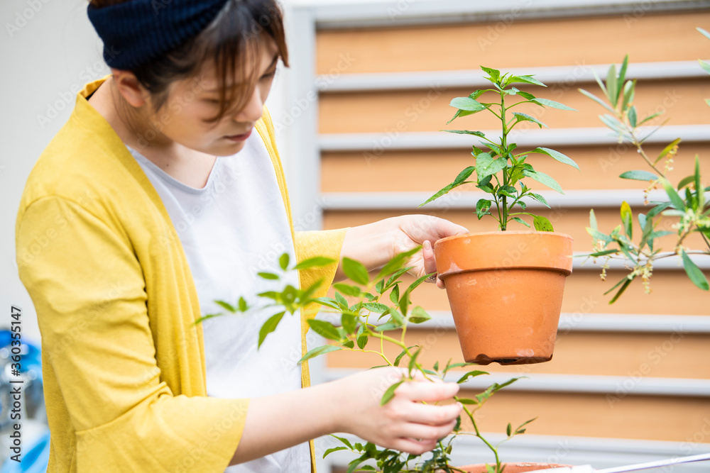 庭で植木の手入れをする女性