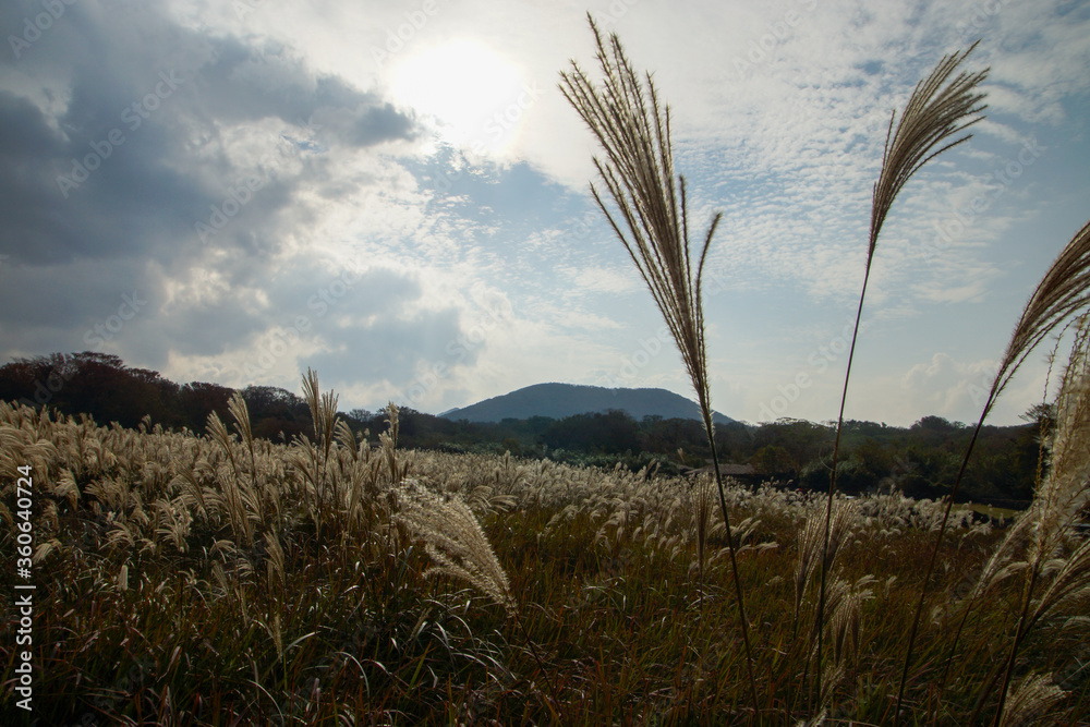 田野与大山