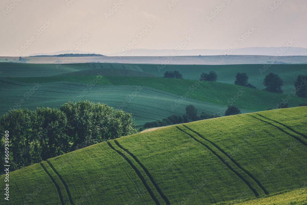 Turčianska kotlina, slovakia. Turčianske jaseno