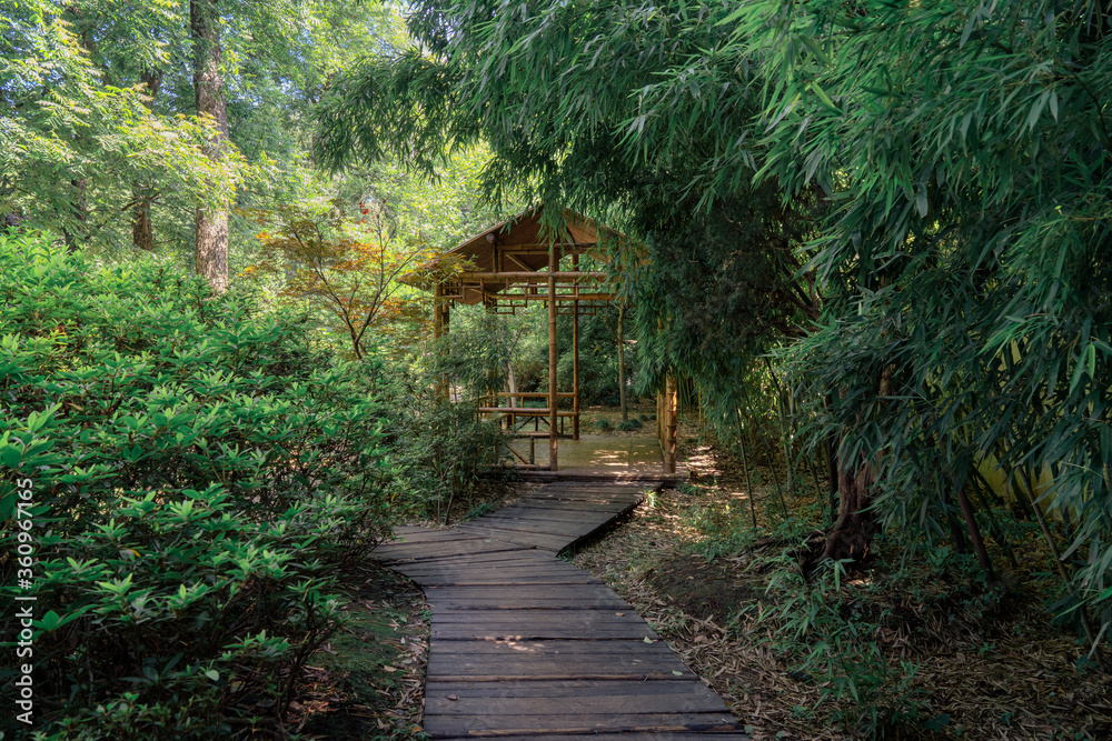 中国苏州园林中的古竹小屋和小路。