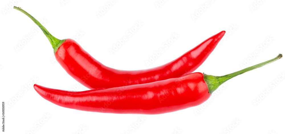 Red chilli isolated on a white background