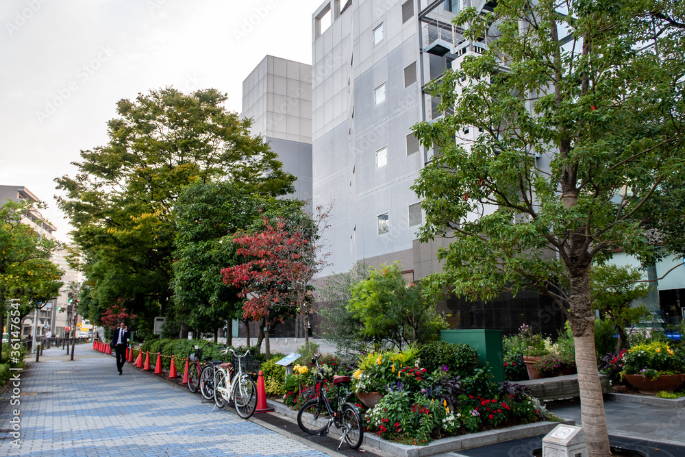 大阪，日本。大阪的日常街景，有建筑物、人行道、树木和五颜六色的花朵。