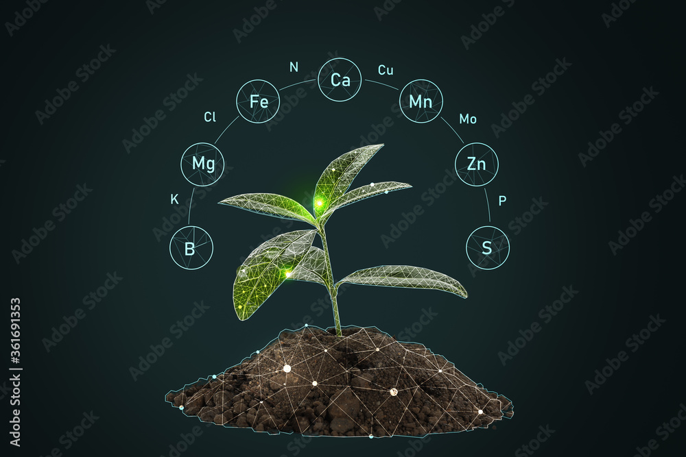 具有指定成分的土壤堆和深色背景下的幼株