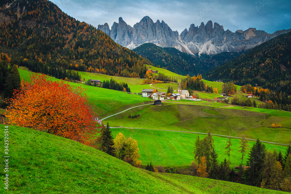 意大利多洛米蒂Santa Maddalena村风景如画的高山秋季景观