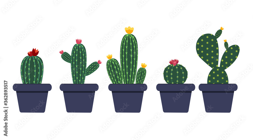 Cactus Icon Collection Set on whie Vector Illustration