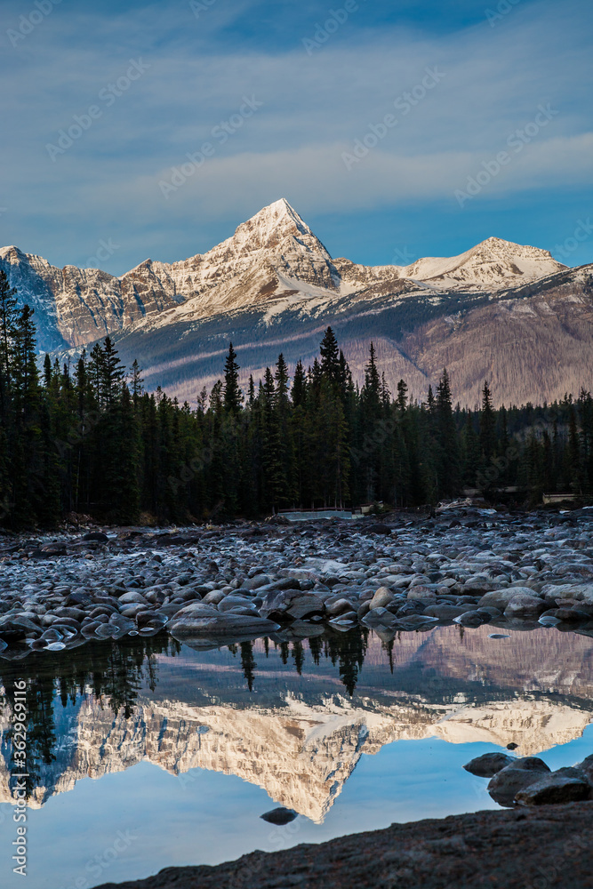 Snow capped peaks reflected in the Athabasca River  in the Canadian Rockies, viewed from the Icefiel