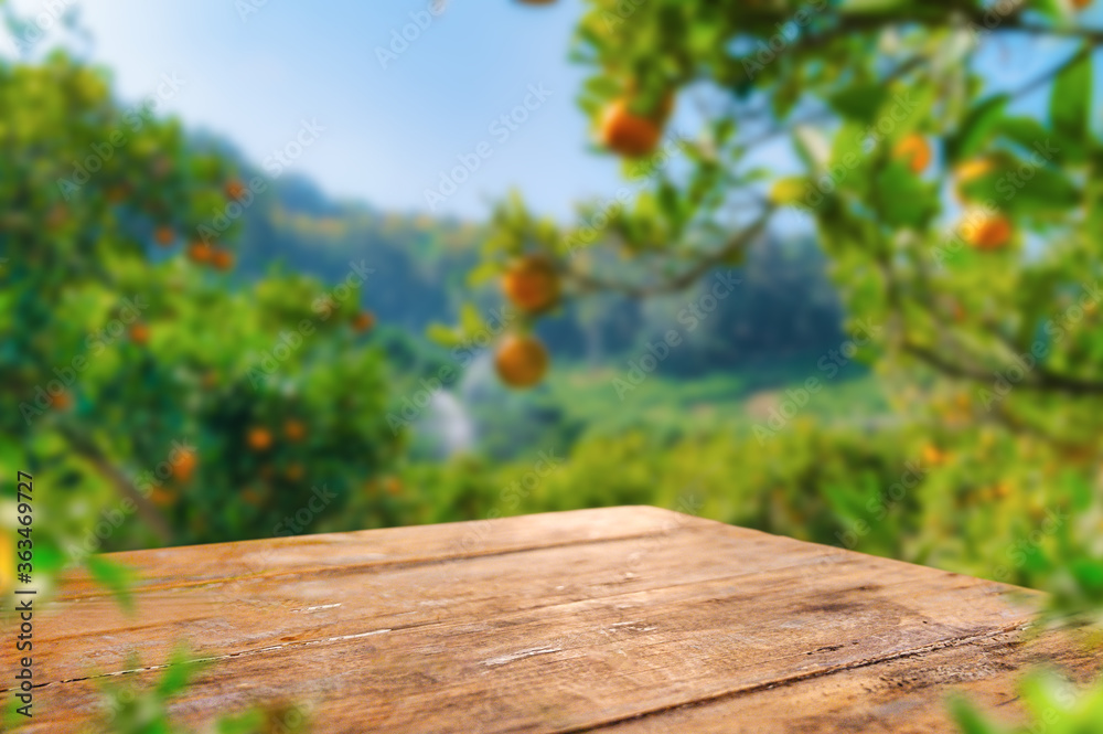 Empty wood table with free space over orange trees, orange field background. For product display mon