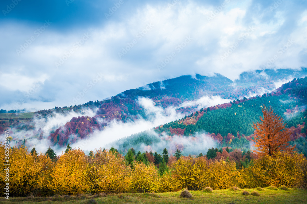 美丽的山村秋日景观。