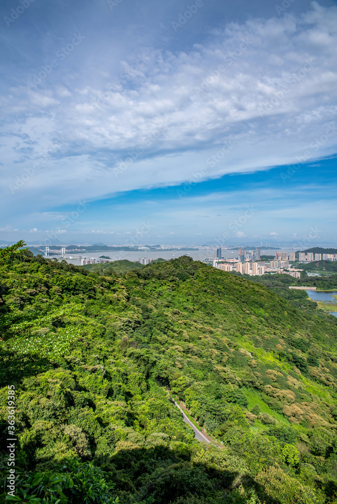 中国广州南沙黄山麓森林公园风光