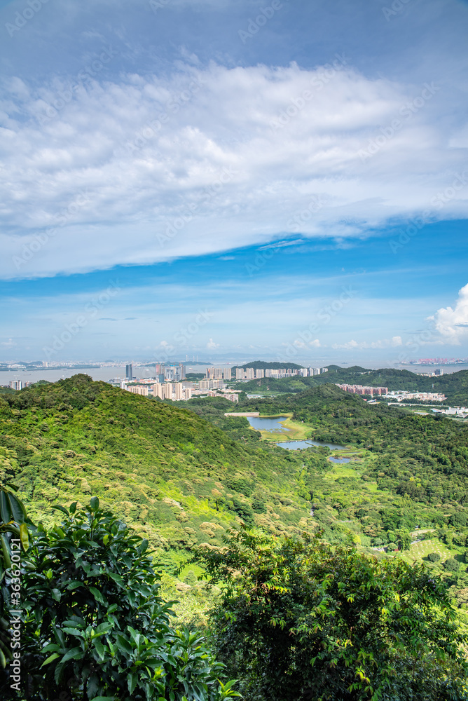 中国广州南沙黄山麓森林公园