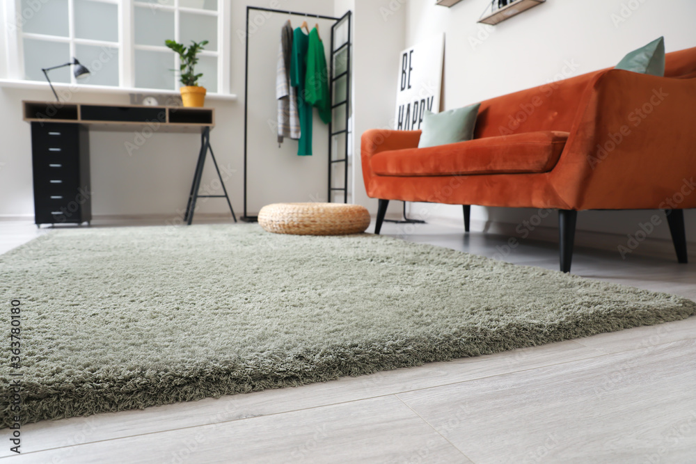 Stylish interior of living room with sofa and carpet