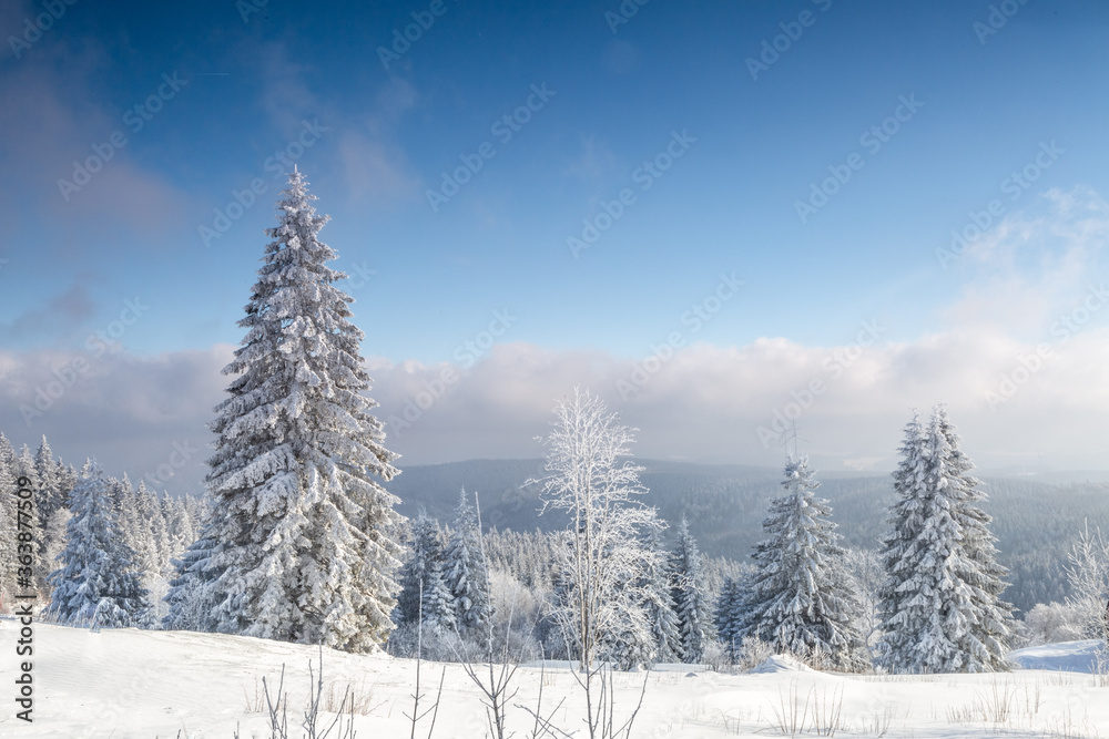 View on mountain, snow-covered trees and thick clouds in distance