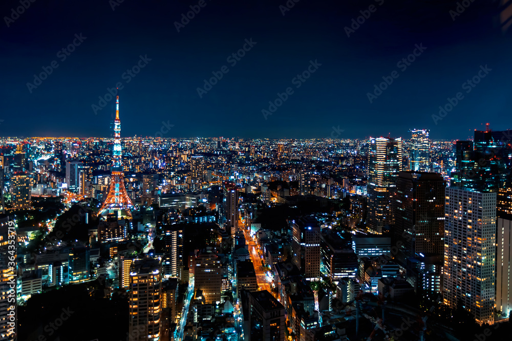 从高空俯瞰日本东京城市景观