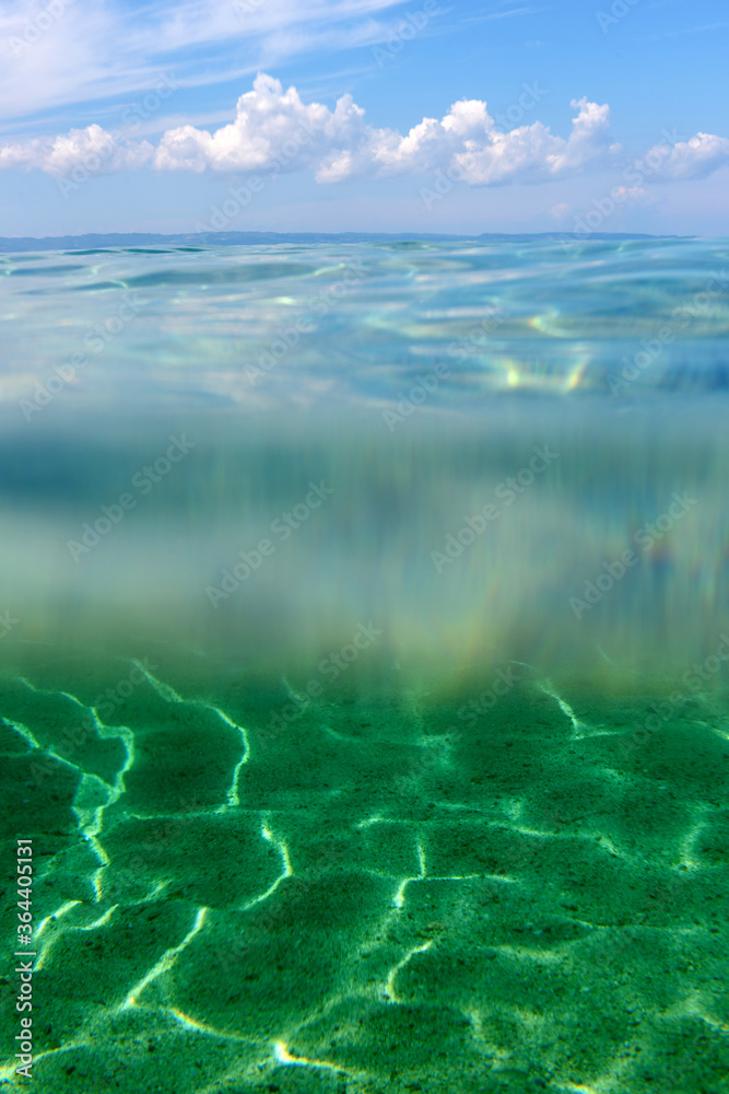 海水下的夏日时光