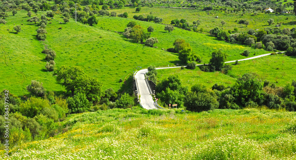 Carretera y puente sobre el río Guadiaro cerca de El Colmenar. Parque Natural de los Alcornocales An