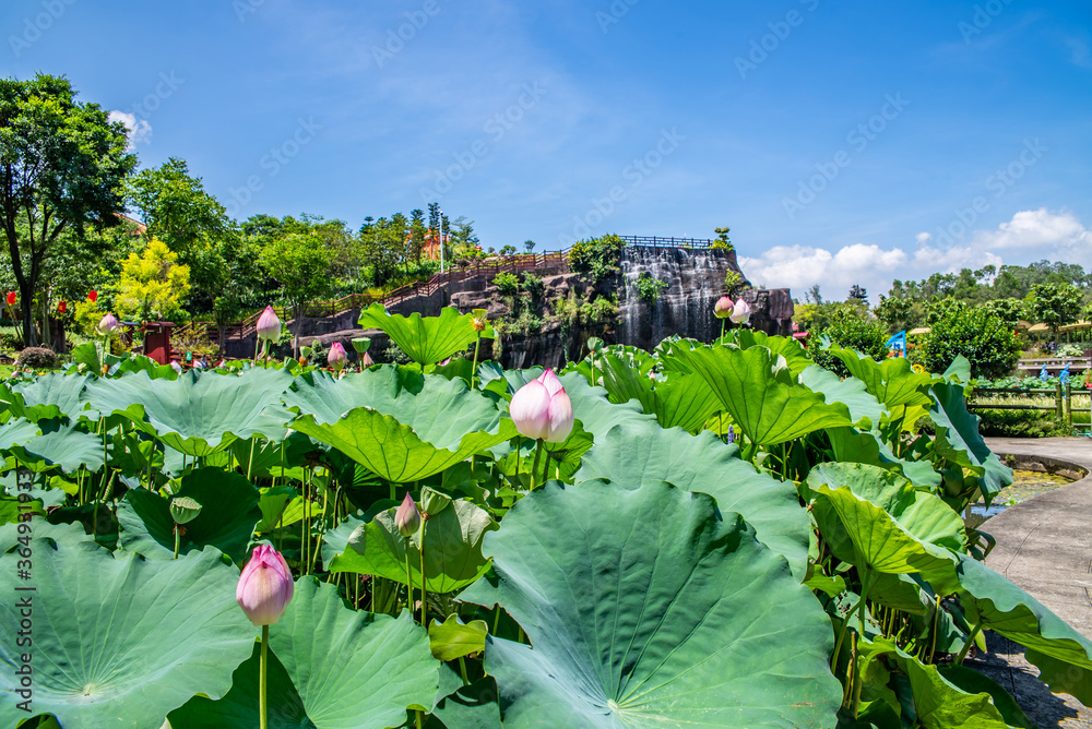 中国广州番禺莲花山公园风光