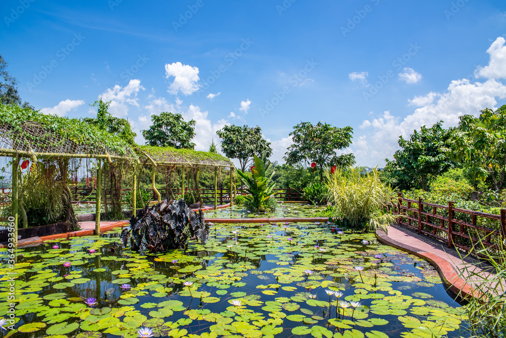 Lotus Pond, Lianhuashan Park, Panyu, Guangzhou, China