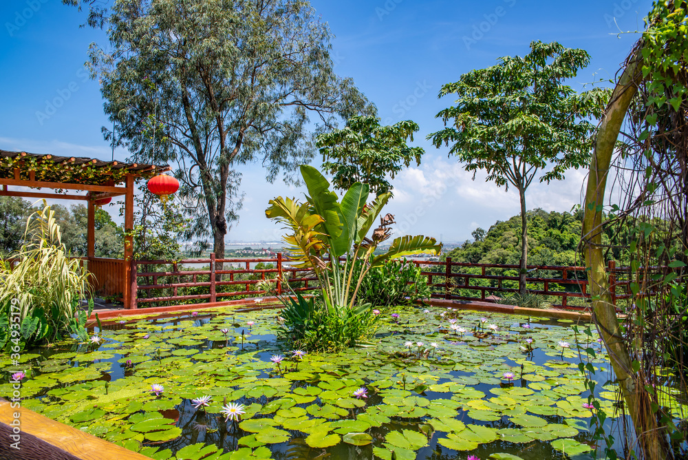 中国广州番禺莲花山公园荷花池